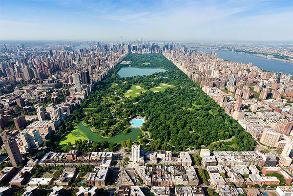 wide angle view of central park in new york city