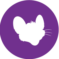 Chuck E. Cheese Rewards - Join Now &amp; Earn Offers