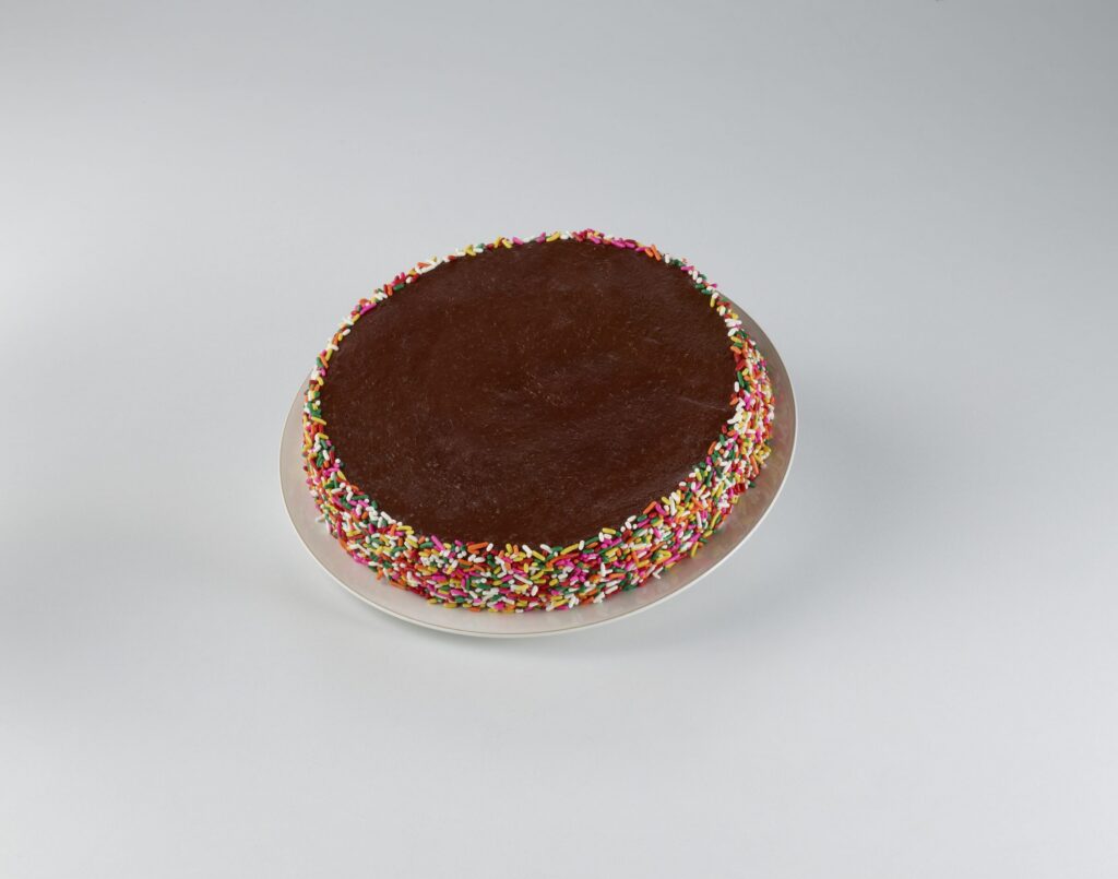 A chocolate birthday cake topped with rainbow sprinkles.
